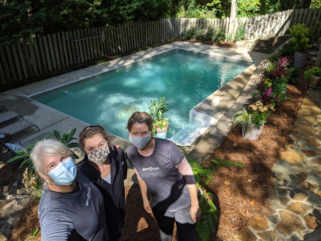 Pencils, Paper, and Plant Professionals