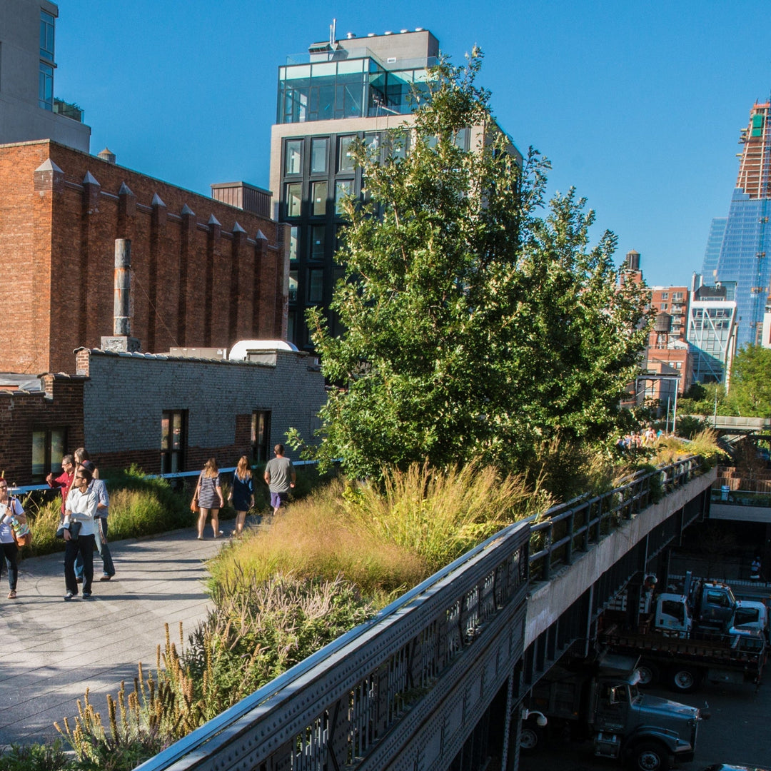 Why Drought-Resistant Gardening Matters in the South