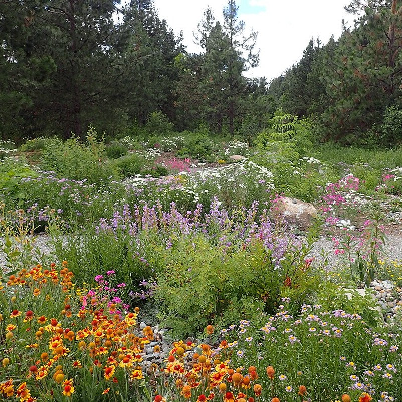 Garden Pests and Diseases: Identifying the Bad and the Beneficial