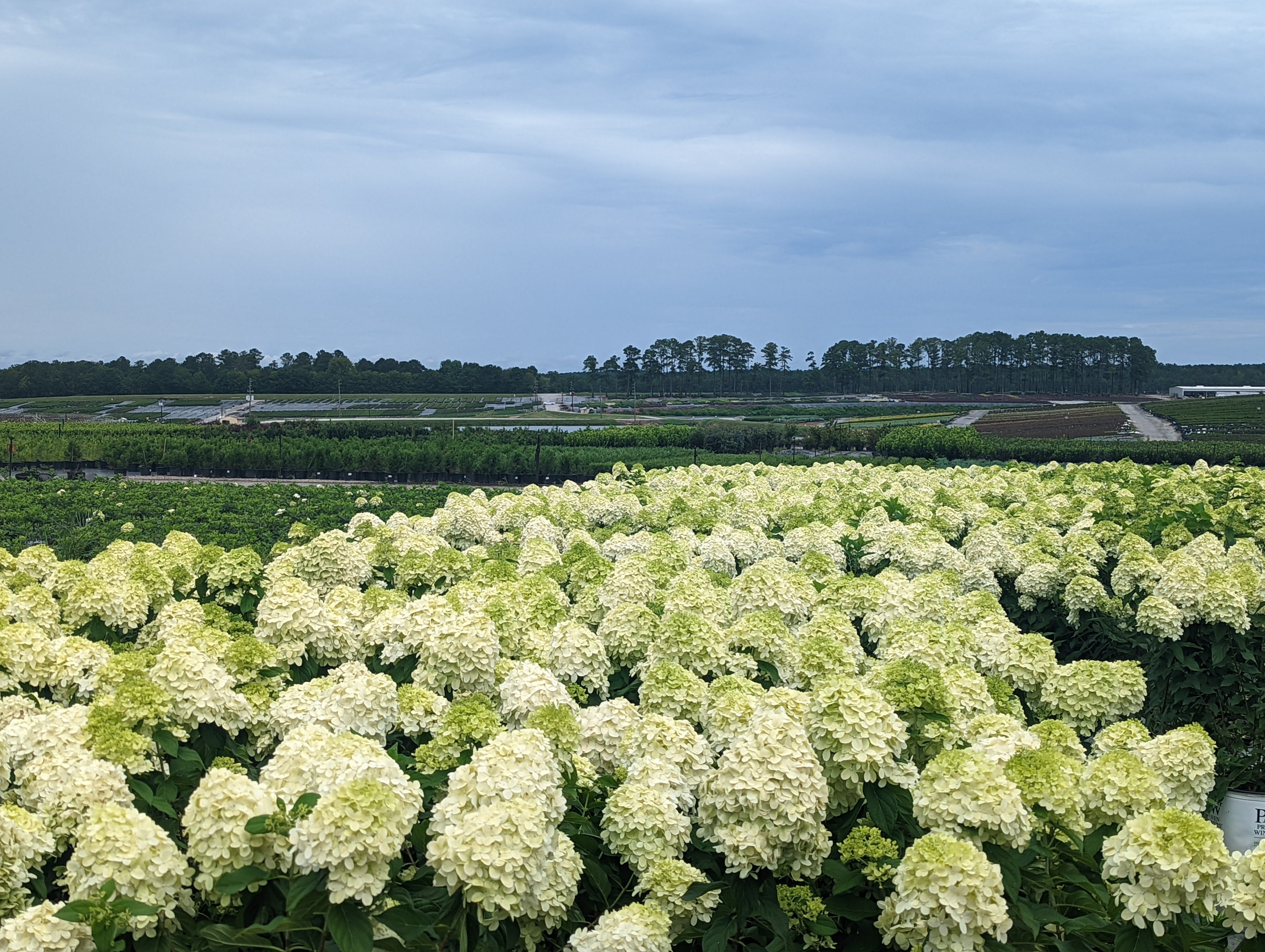 Chattanooga, Prepare to Plant Joy Glass Farm Nursery Announces Grand