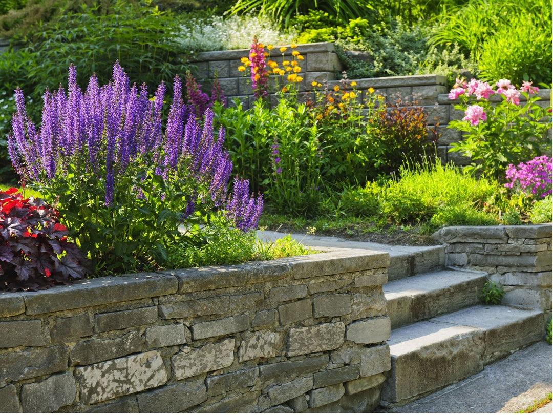 7 Spring Essentials for Your Garden