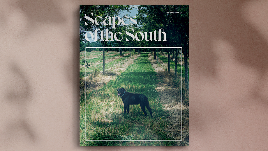 Scapes of the South - Issue 01