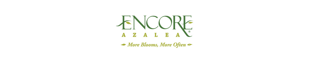 Encore®