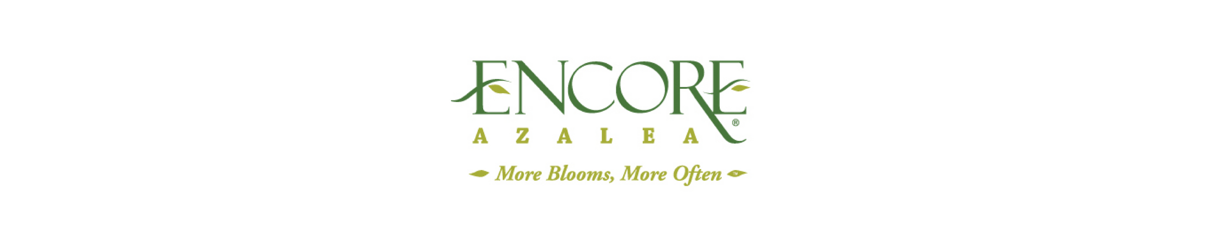 Encore®