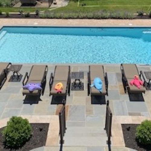 Outdoor Living Supply ~ Pattern Flagstone, PA Bluestone Full Color 1"-ServeScape