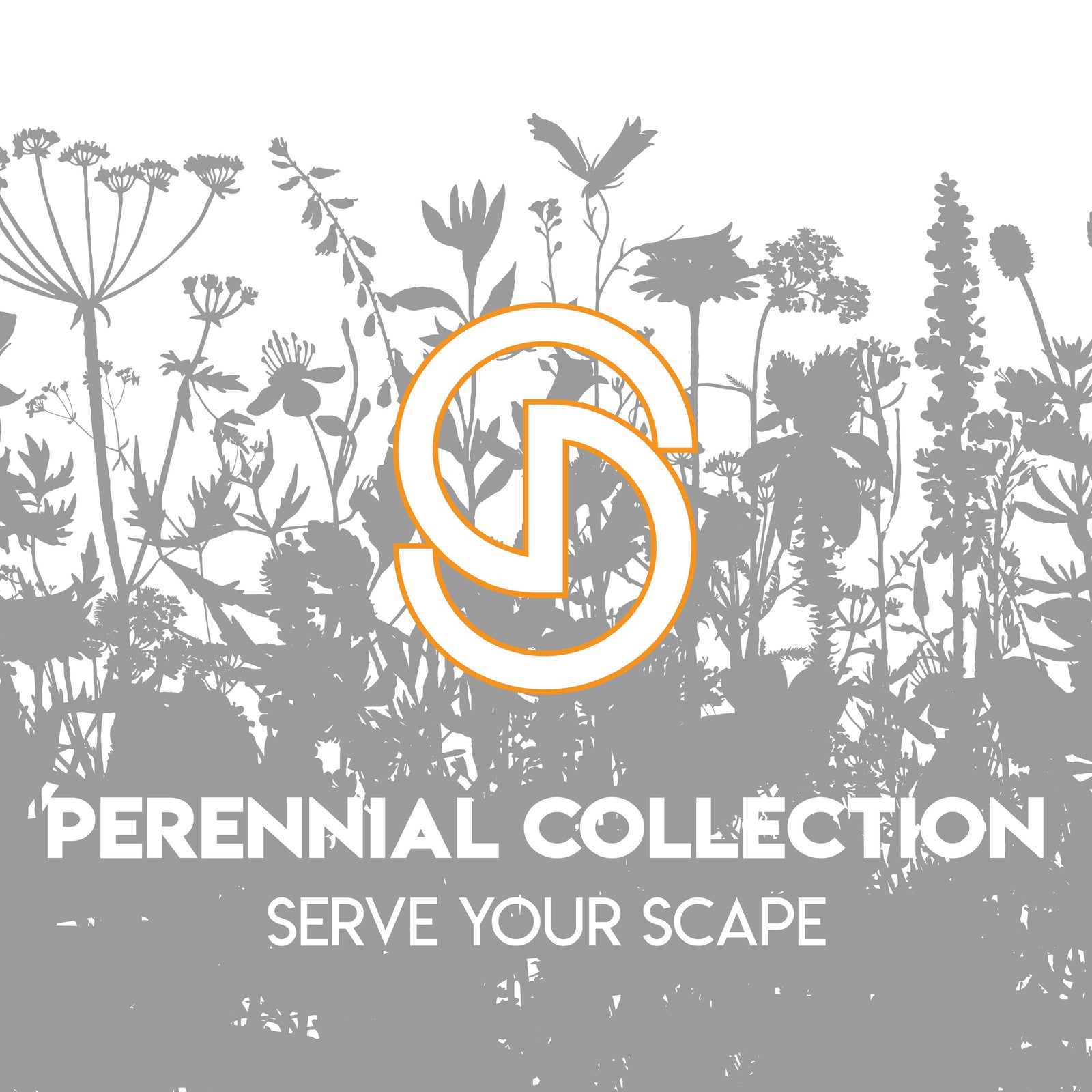 Coweta Greenhouses ~ Ornamental Chili Pepper-ServeScape