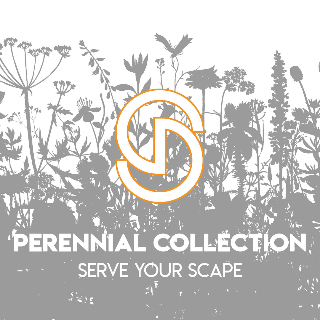Coweta Greenhouses ~ Marigold, Assorted Colors-ServeScape