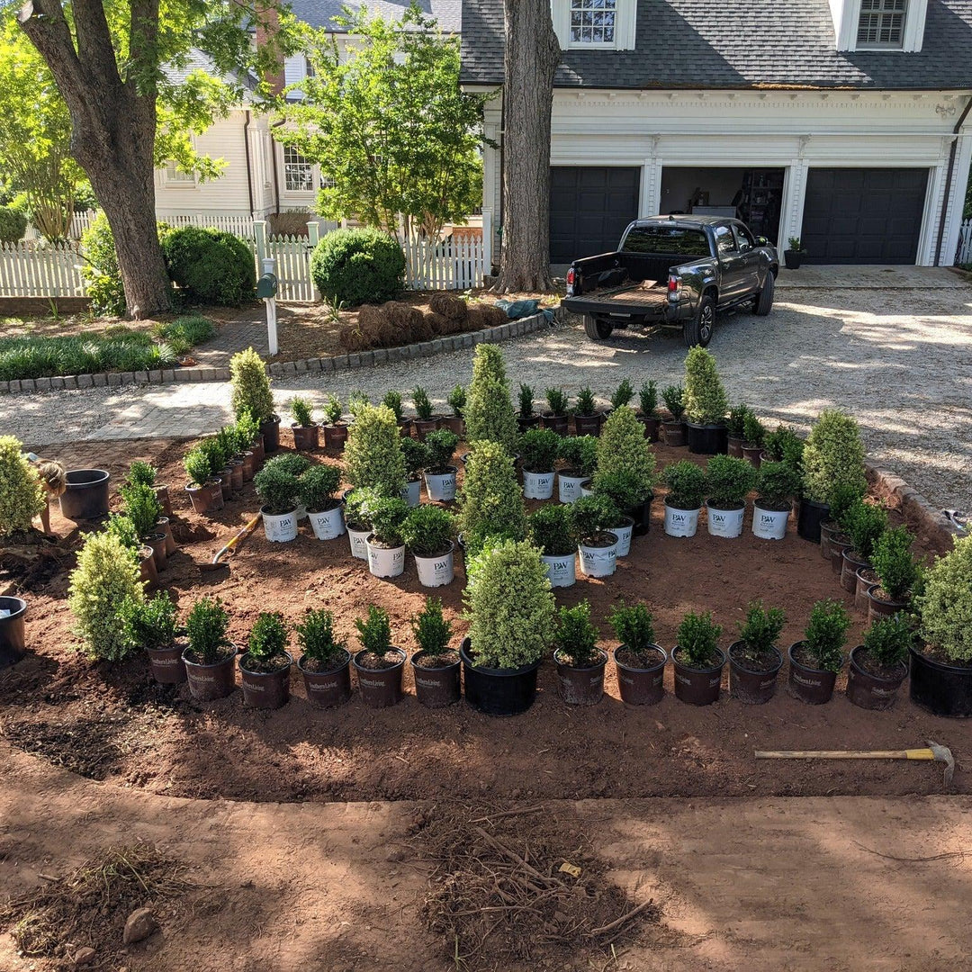 Design Studio ~ Planting Plan-ServeScape