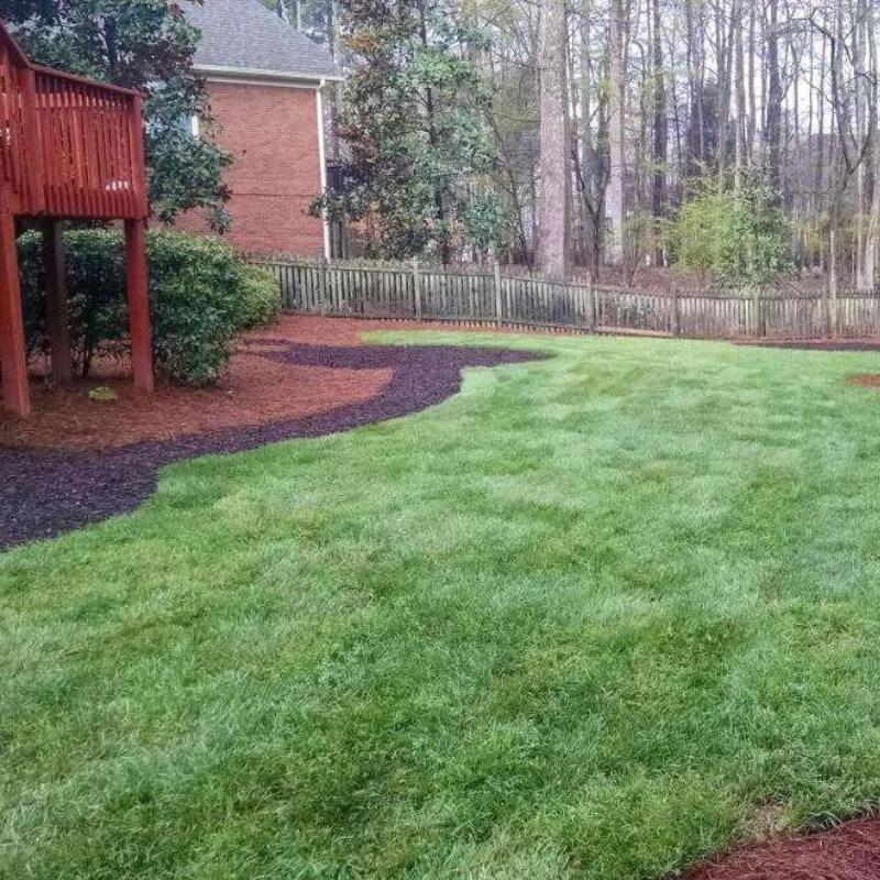 Rebel® Supreme ~ Fescue Sod-ServeScape