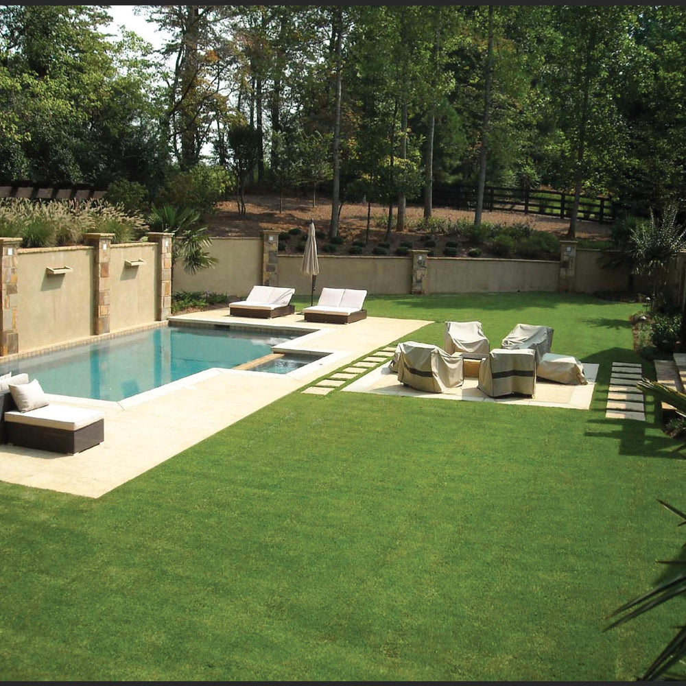 Zoysia Sod ~ El Toro Zoysia-ServeScape