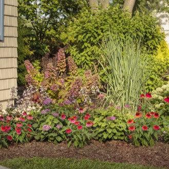 Hydrangea quercifolia 'JoAnn' USPP 27,879 ~ Gatsby Pink® Oakleaf hydrangea-ServeScape