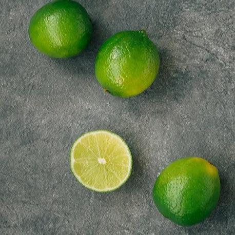 Citrus x latifolia ~ Persian Lime-ServeScape