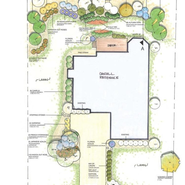 Design Studio ~ Planting Plan-ServeScape