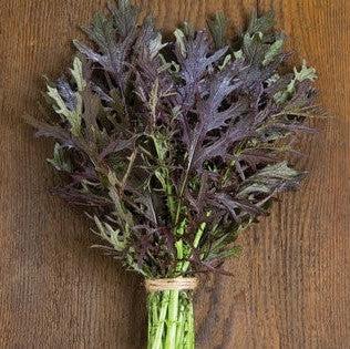 Braising Greens Garden Pack-ServeScape