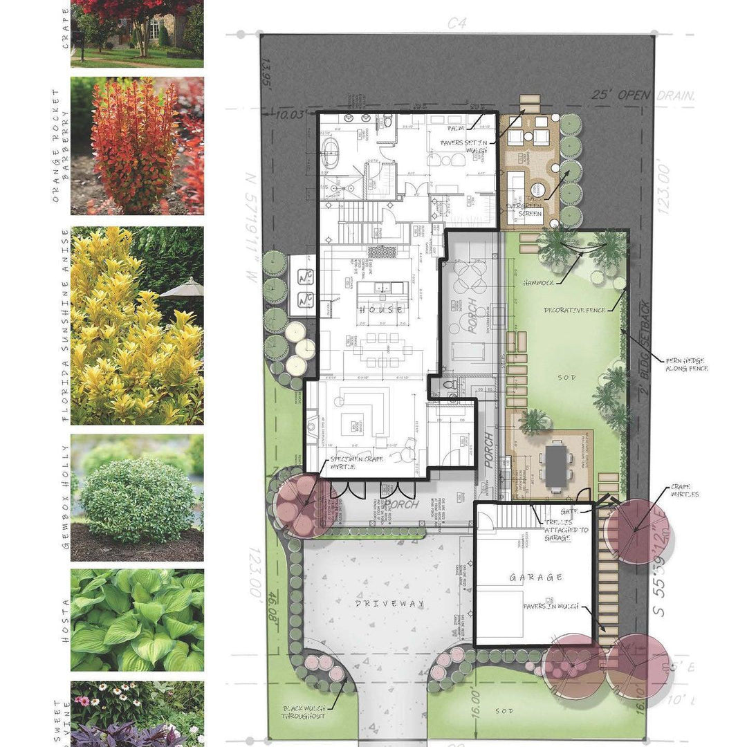 Design Studio ~ Planting Plan-ServeScape