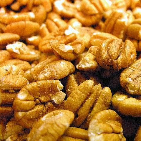 Carya 'Elliot' ~ Elliot Pecan-ServeScape