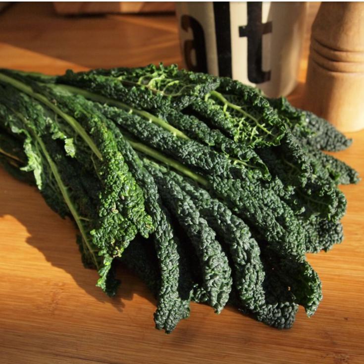 Brassica oleracea 'Lacinato' ~ Lacinato Kale, Dinosaur Kale