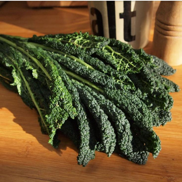 Brassica oleracea 'Lacinato' ~ Lacinato Kale, Dinosaur Kale