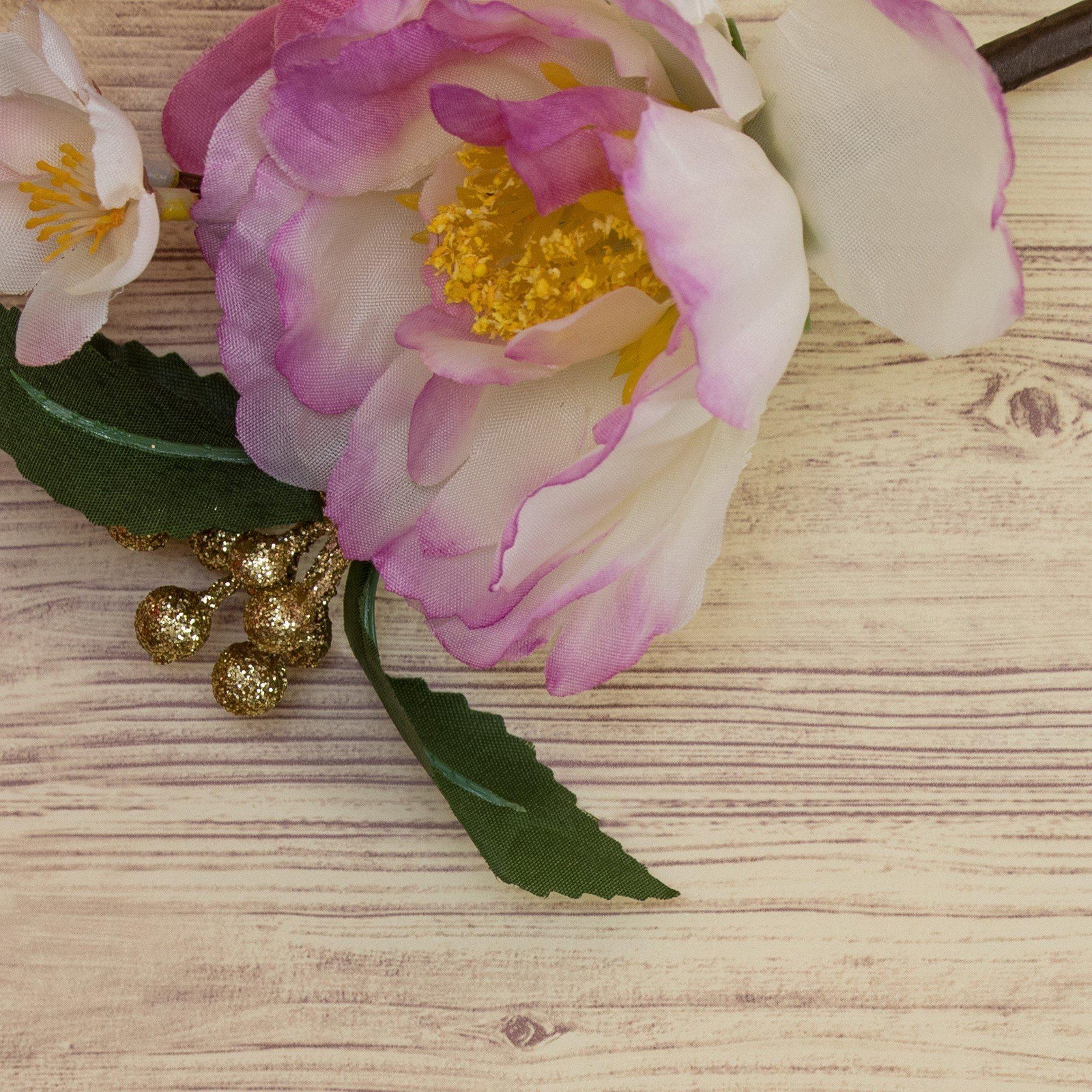 Camellia sasanqua 'Green S99-016' PP20566 ~ October Magic® Inspiration™ Camellia-ServeScape