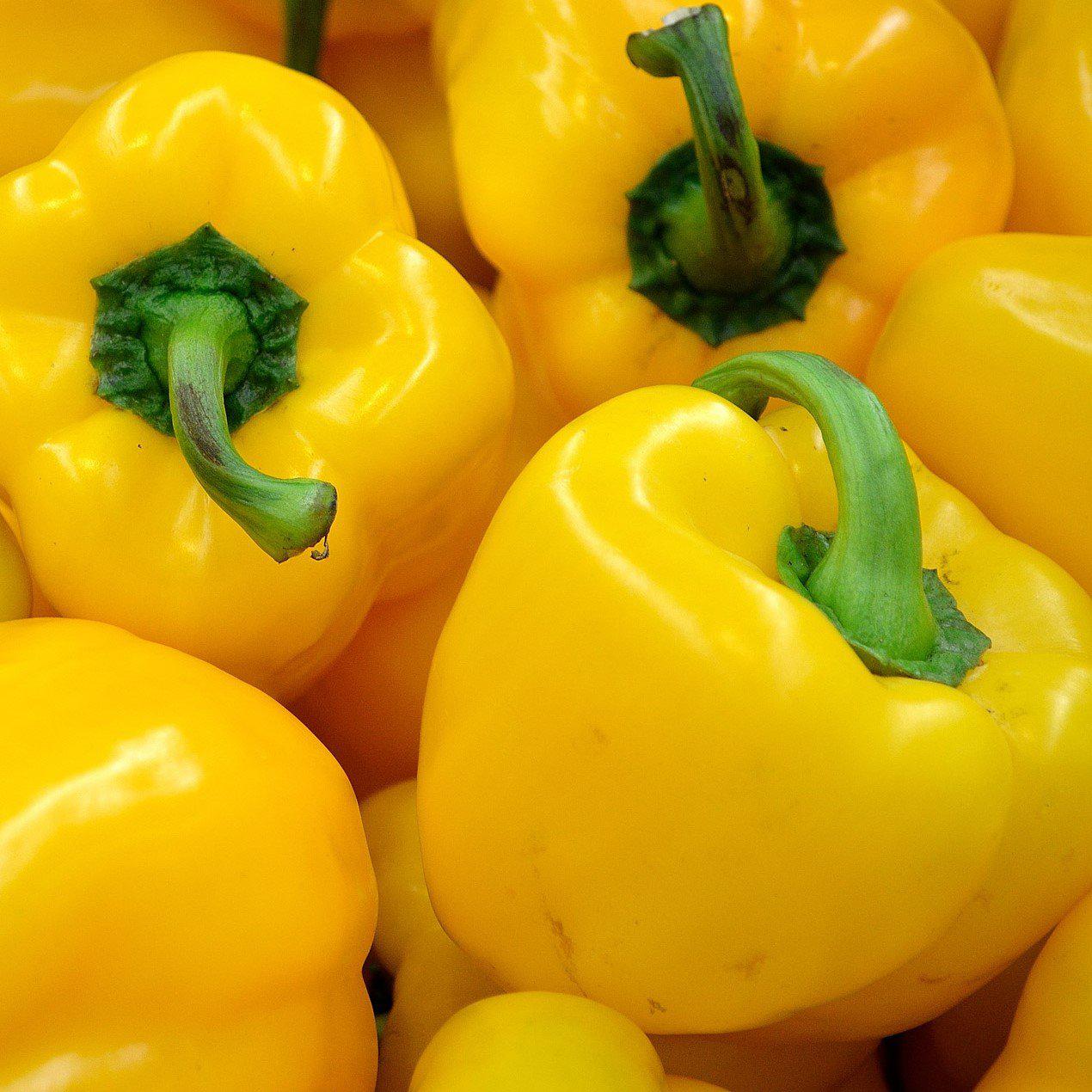 Capsicum annuum 'Early Summer' ~ Early Summer Pepper - Delivered By ServeScape