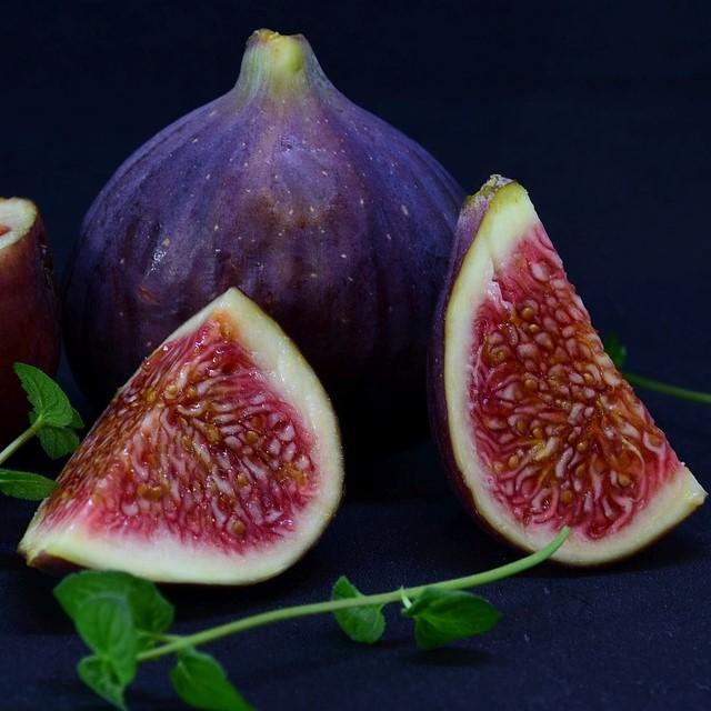 Ficus carica 'LSU Purple' ~ 'LSU Purple' Fig-ServeScape