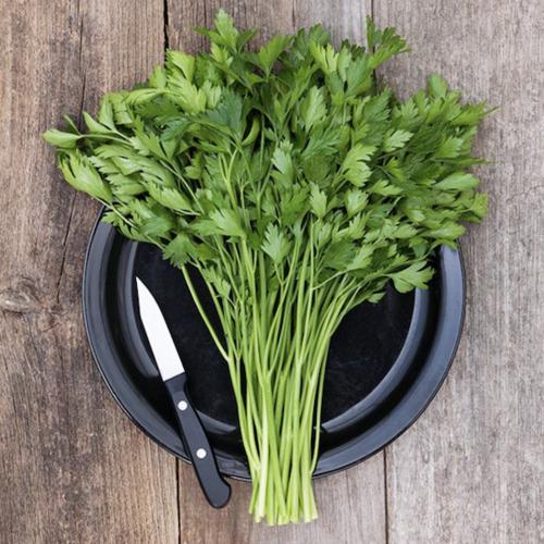 Parsley Pack-ServeScape