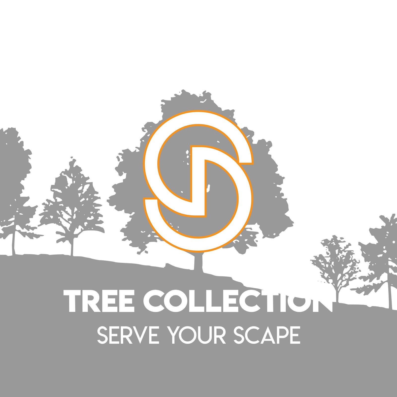Lagerstroemia indica 'PIILAG-IX' ~ Sunset Magic™ Crape Myrtle - Delivered By ServeScape