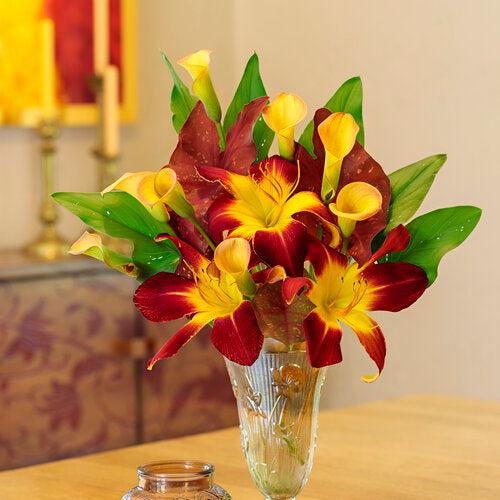 Hemerocallis 'Ruby Spider' ~ PW® Rainbow Rhythm® Ruby Spider Daylily-ServeScape