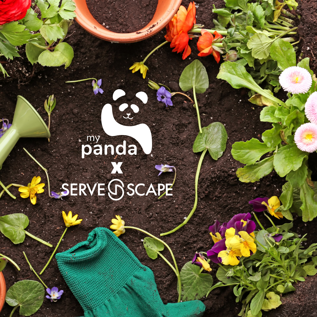 ServeScape and My Panda Partner to Bring You Garden Panda: Your Person