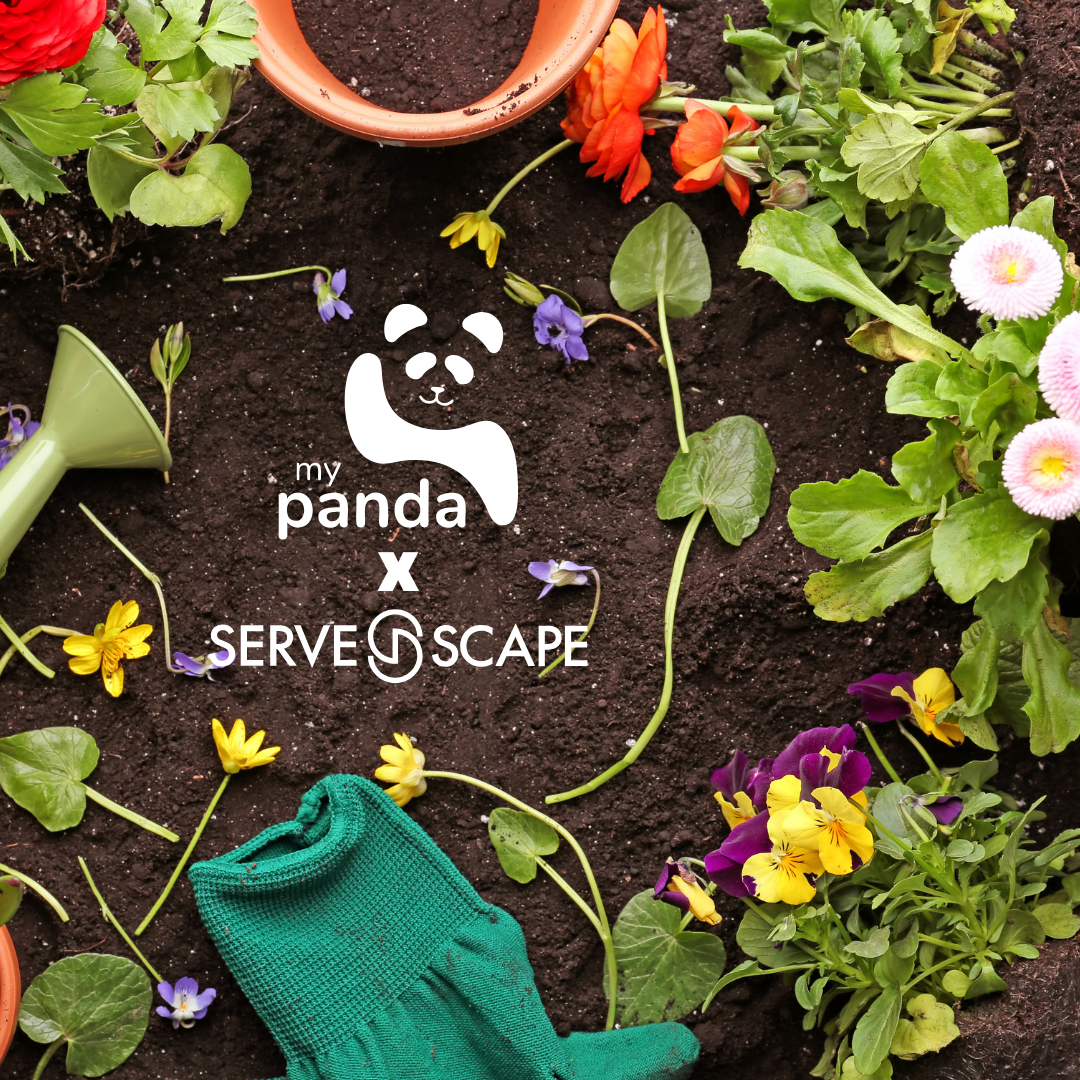 ServeScape and My Panda Partner to Bring You Garden Panda: Your Personal Gardening Assistant