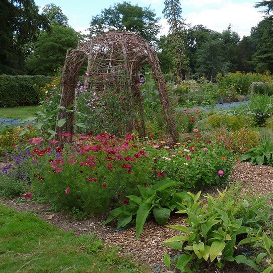 Planting for Wildlife: Inviting Nature In—While Keeping the Nibblers at Bay