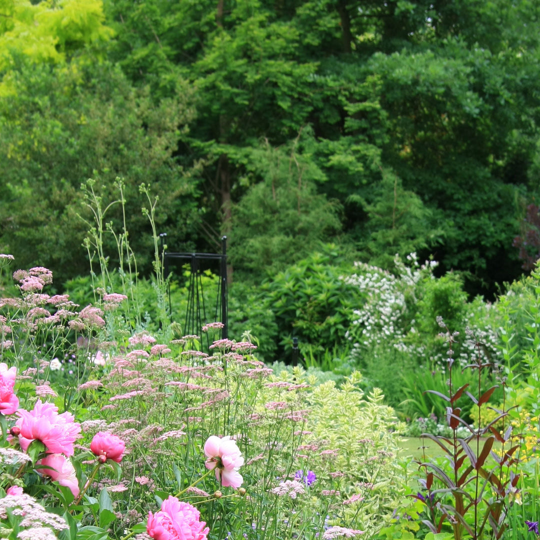 7 Cottage Style Garden Ideas for Your Landscape