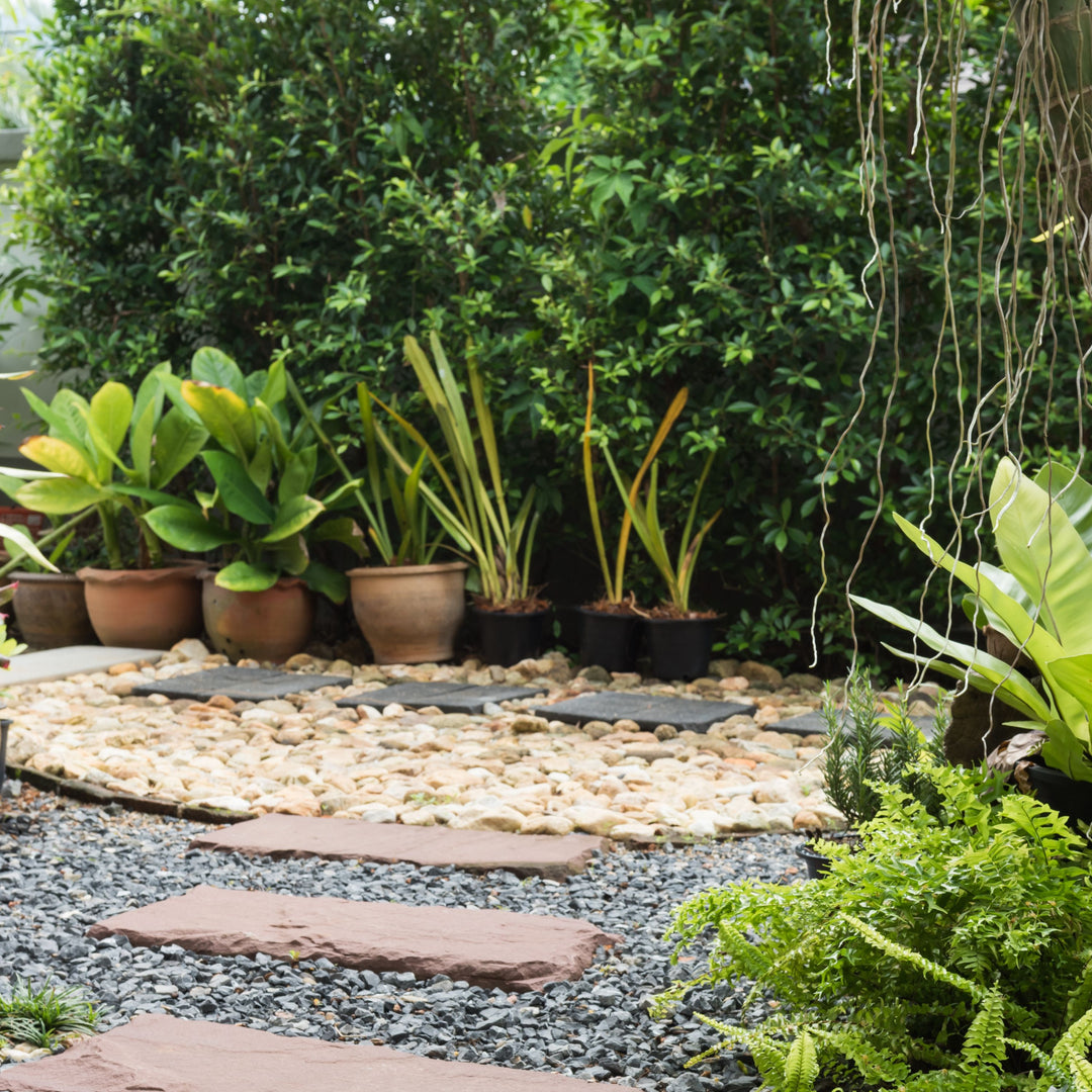 7 Gravel Landscaping Tips You'll Love