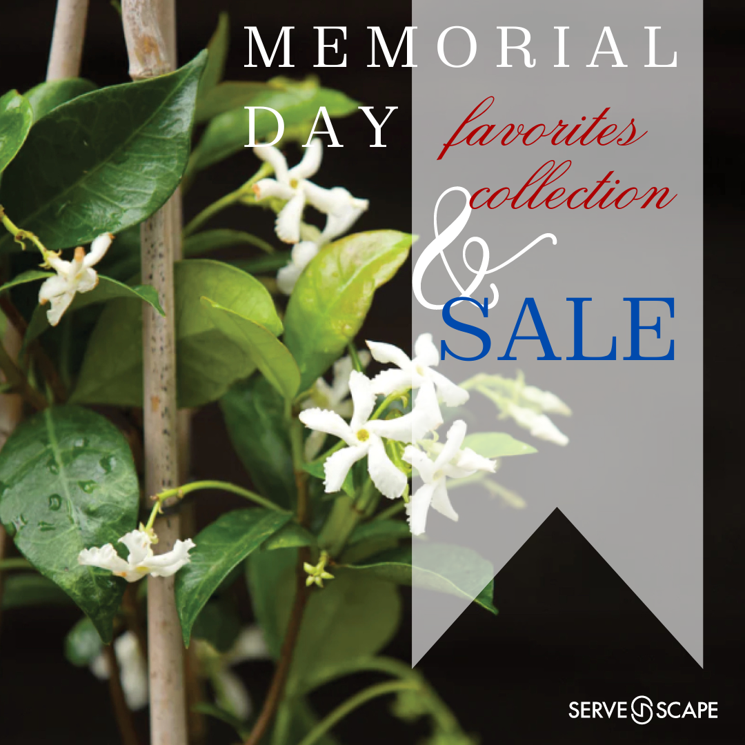 Memorial Day Favorites Collection & Sale