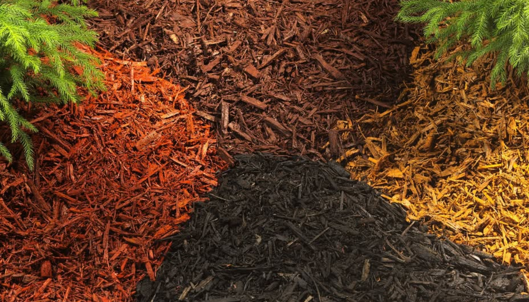 Mulch Matters: Enhance Your Garden with the Right Mulch