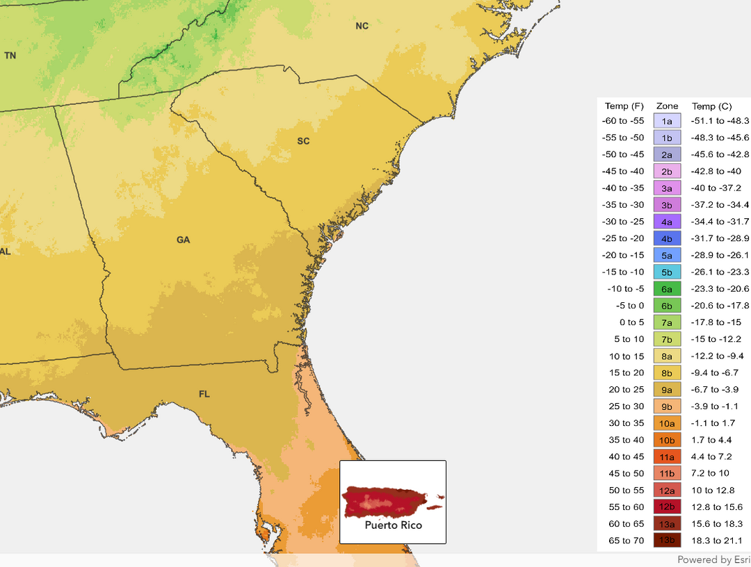 Understanding the Updated USDA Hardiness Zones and What It Means for Your Garden