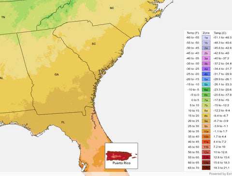 Thriving Gardens Across the Spectrum: Mastering Hardiness Zones in the South