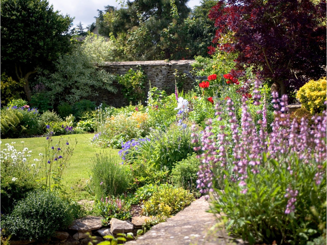 Seven Easy Ways to Refresh Your Summer Landscape