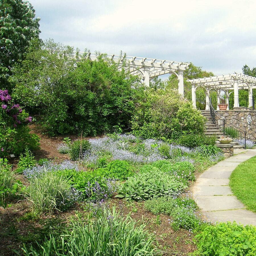 Planting for Erosion Control: Stabilizing Slopes with Smart Landscaping