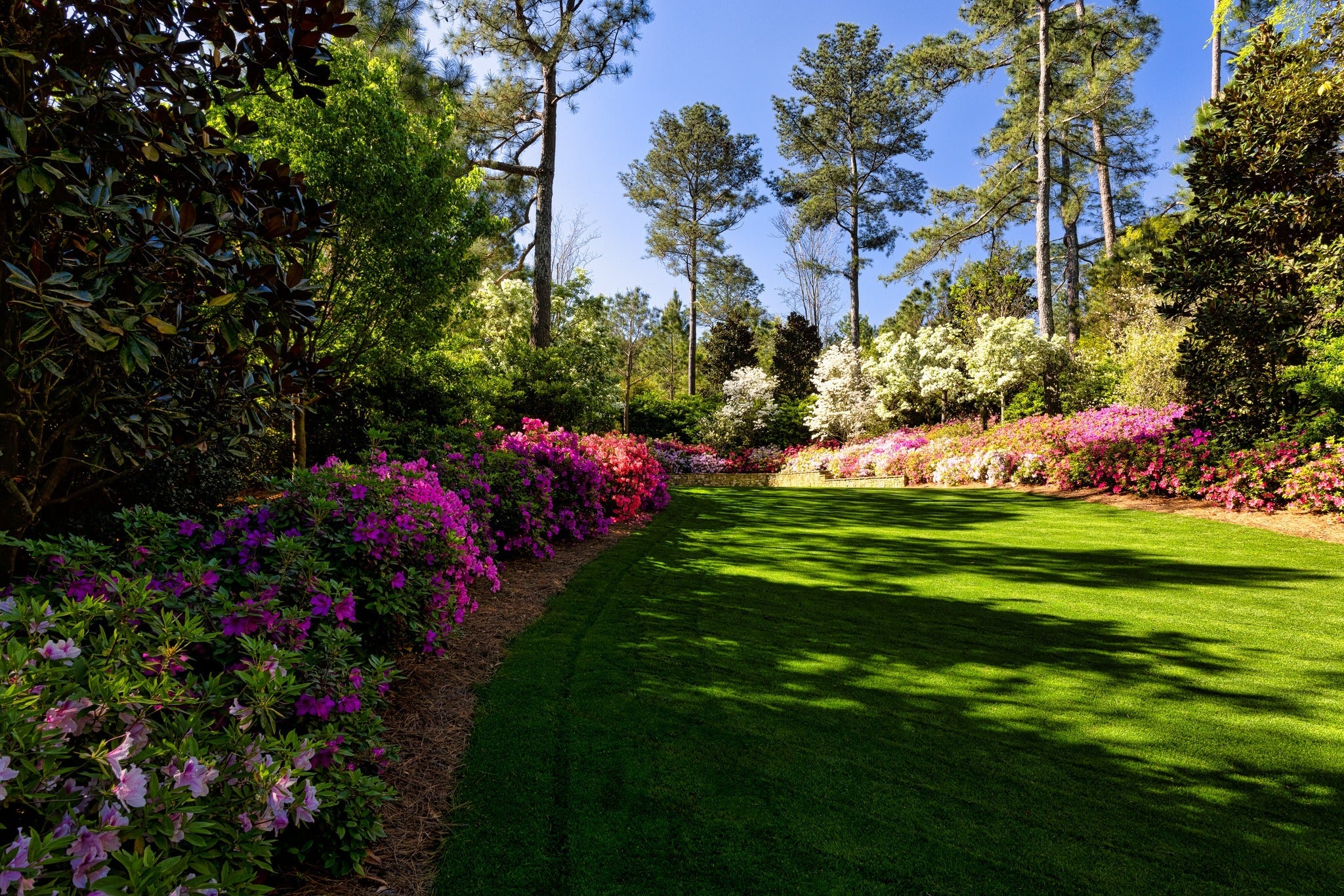 Amen Corner Backyard