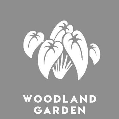 Woodland Garden