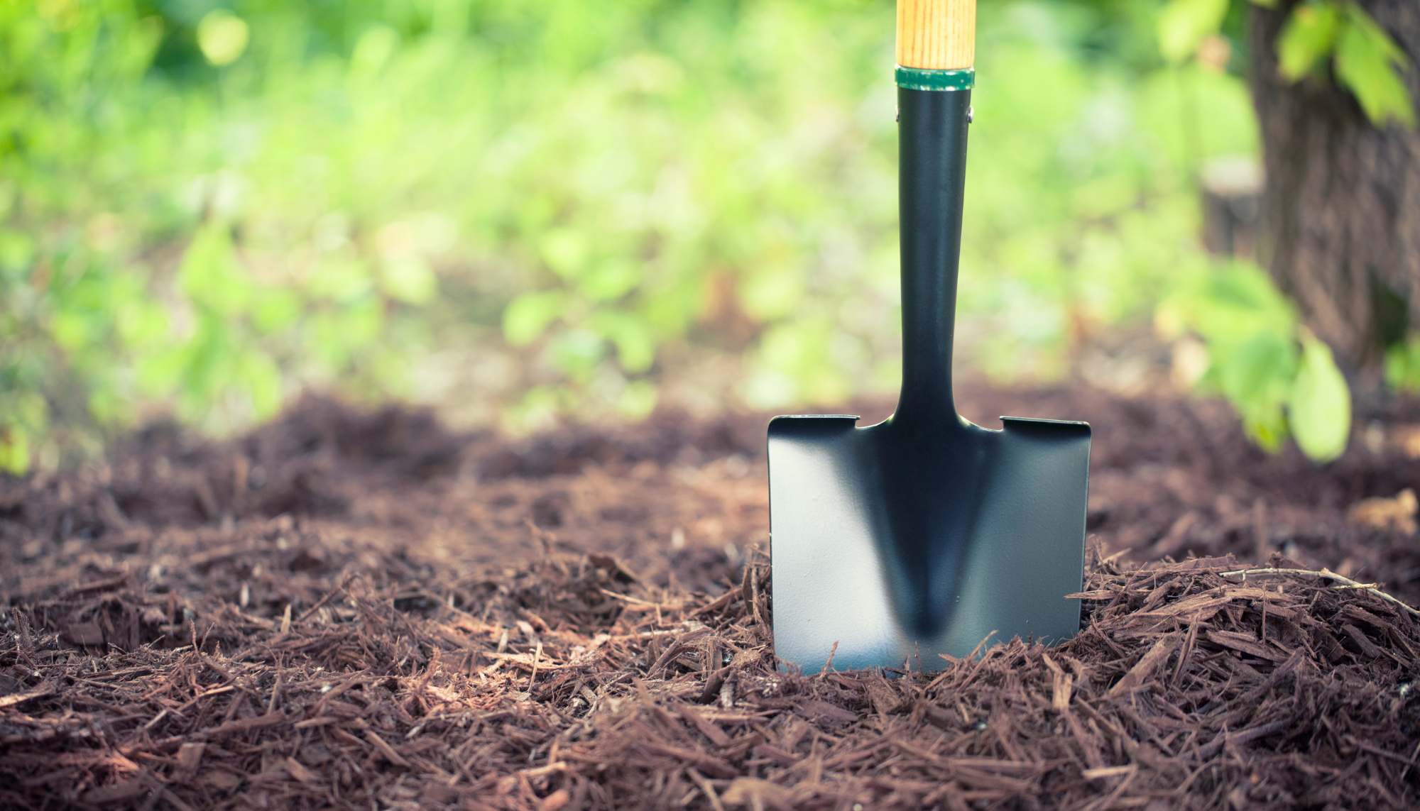 Bagged Mulch