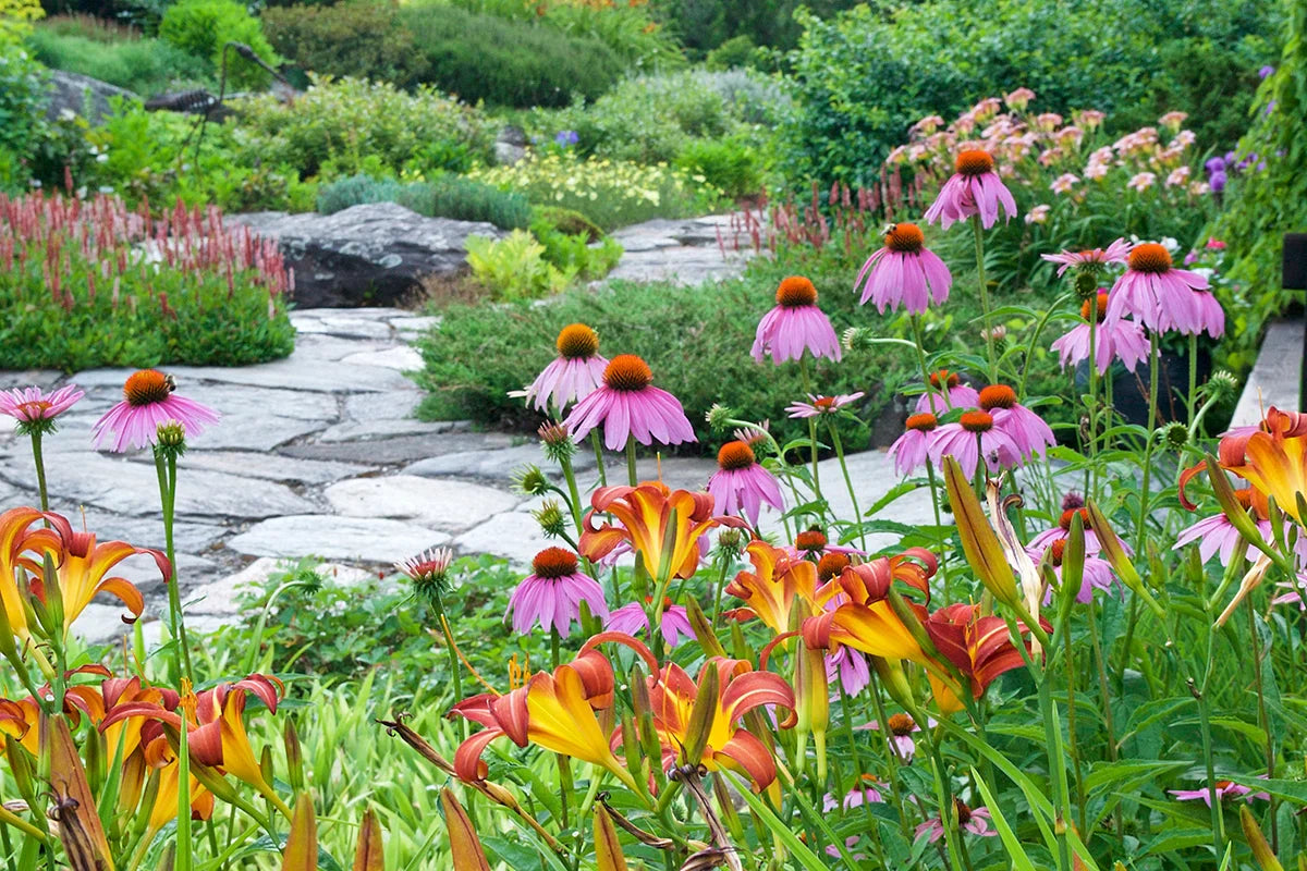 Perennial Pollinator Garden Collection