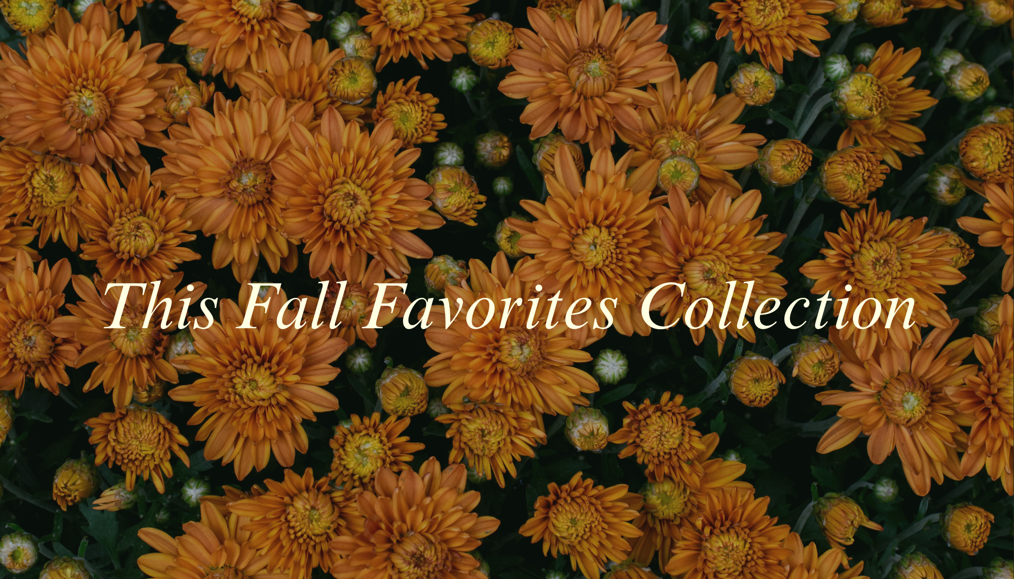 ServeScape Fall Favorite Collection