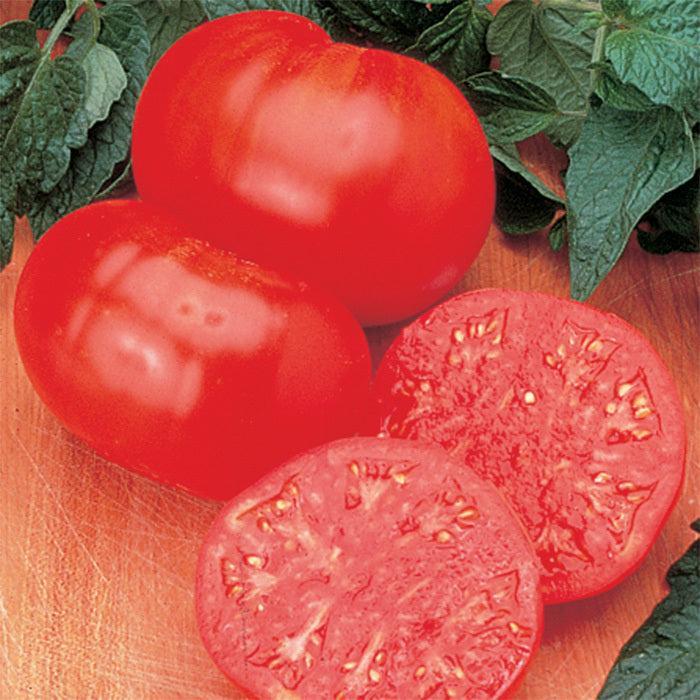 Solanum lycopersicum 'Beefsteak' ~ Beefsteak Tomato-ServeScape