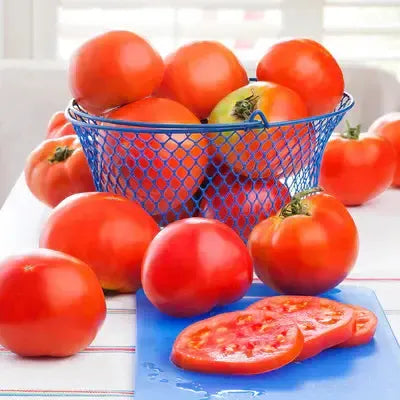 Assorted Tomato & Eggplant ~ Tomato & Eggplant Vegetables (4.5in)-ServeScape