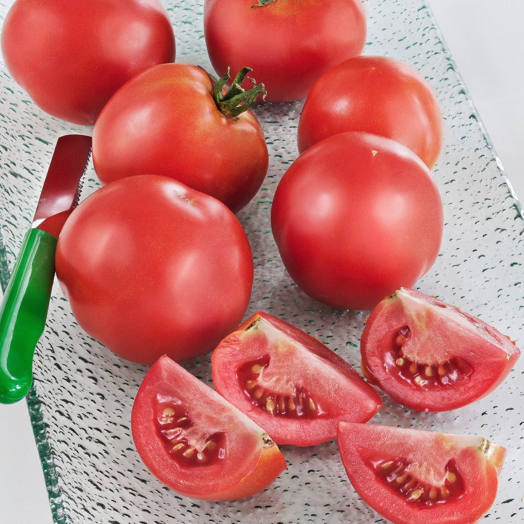 Assorted Tomato & Eggplant ~ Tomato & Eggplant Vegetables (4.5in)-ServeScape