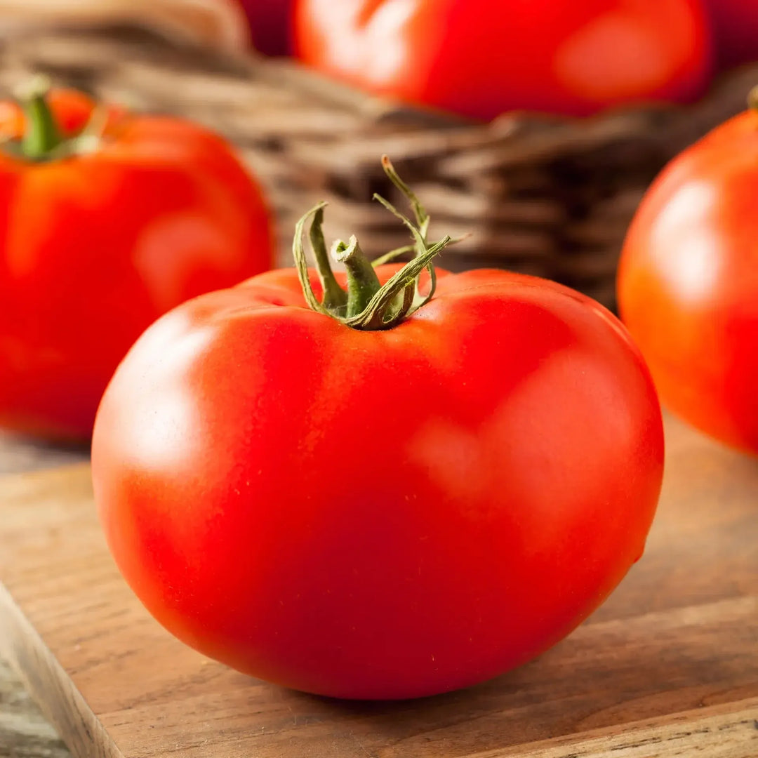 Assorted Tomato & Eggplant ~ Tomato & Eggplant Vegetables (4.5in)-ServeScape