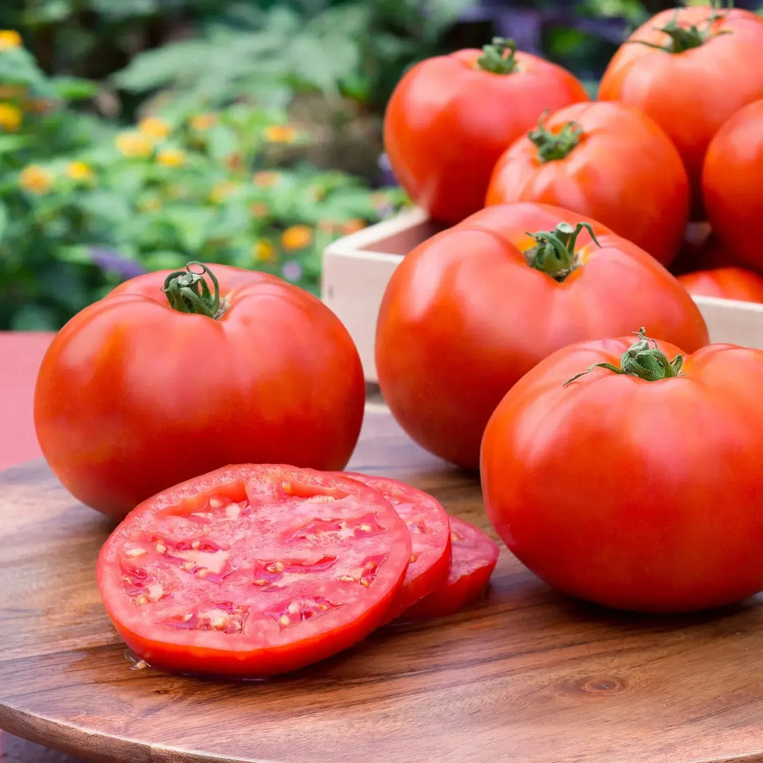 Assorted Tomato & Eggplant ~ Tomato & Eggplant Vegetables (4.5in)-ServeScape