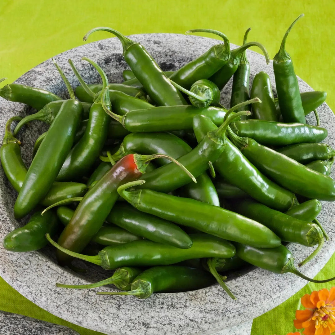 Assorted Peppers ~ Pepper Vegetables (4.5in)-ServeScape